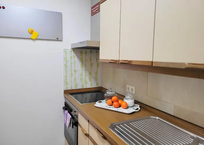 Wohnen Auf Zeit Mit Aussicht *